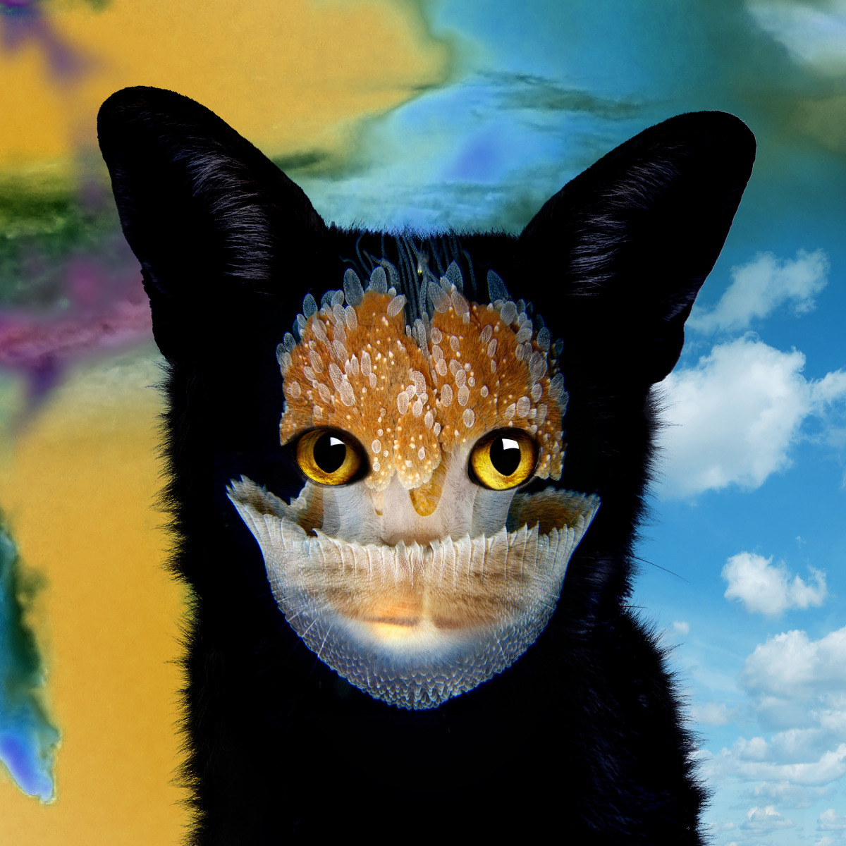 galantis big active galantis big active